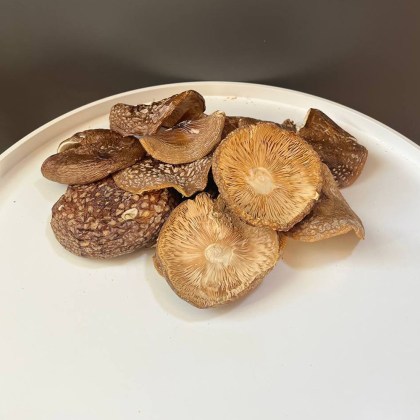 korolivskyi-mukhomor-shapochky-premium